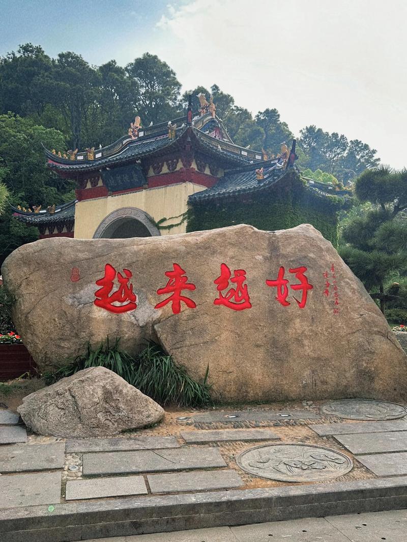 普陀山旅游攻略：探秘佛教圣地的必做清单